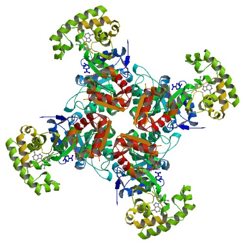 File:PBB Protein KCNAB2 image.jpg