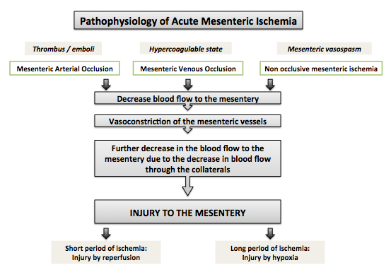 Acute mesenteric ischemia pathophysiology - wikidoc sequence flow diagram 