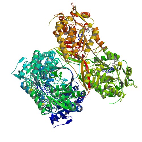 File:PBB Protein ALDH2 image.jpg