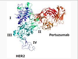 File:Pertuzumab chemical.png