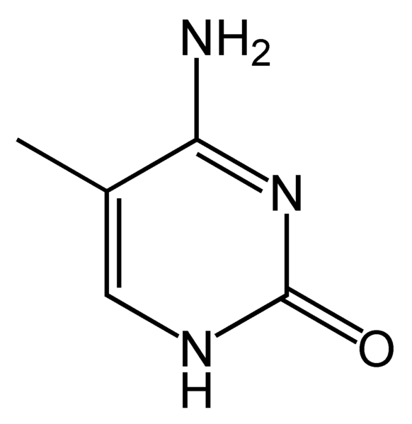 Chemical structure of 5-methylcytosine