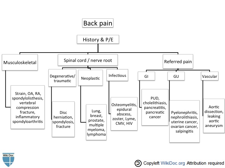 File:Back pain resident survival guide.jpg