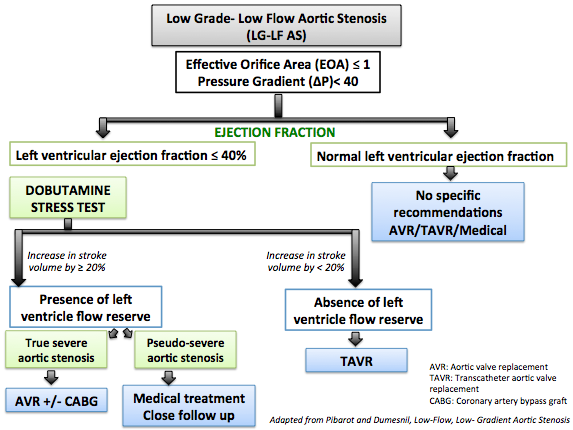Management of low flow, low gradient aortic stenosis