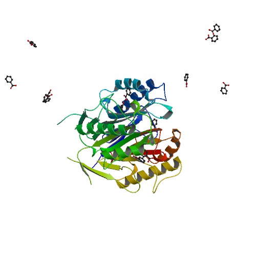 File:PBB Protein HRSP12 image.jpg