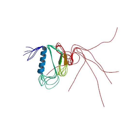 File:PBB Protein IGFBP2 image.jpg