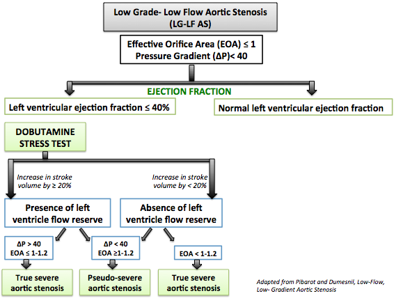 Evaluation of low flow, low gradient aortic stenosis by low dose dobutamine stress echocardiography