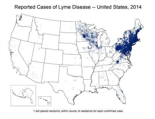 File:Lyme Map Epi.jpg
