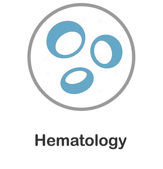 Hematology-updatede.jpg