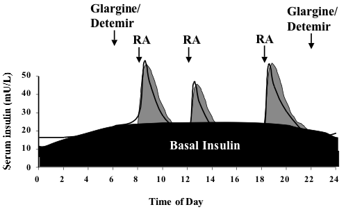 File:Insulin basal bolus.png