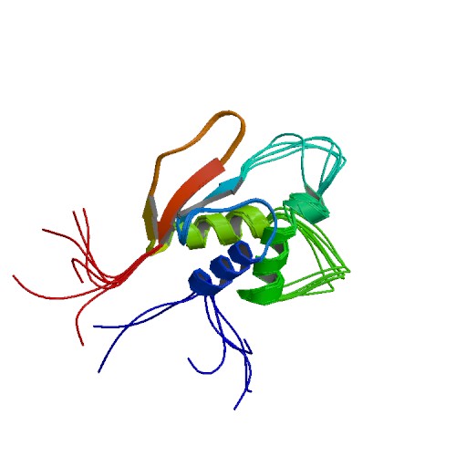 File:PBB Protein IRF4 image.jpg