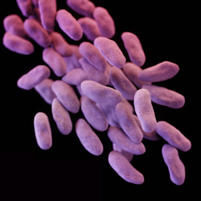 3D computer-generated image of a group of carbapenem-resistant Enterobacteriaceae bacteria. From Public Health Image Library (PHIL). [1]