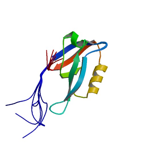 File:PBB Protein INADL image.jpg