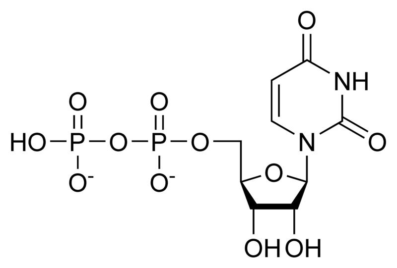 Chemical structure of uridine diphosphate
