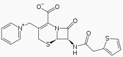 Cephaloridine Wiki Str.png