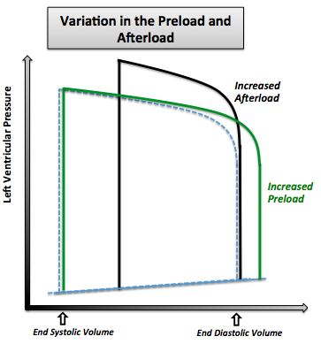 The variation in the pressure volume loop in case of increased preload and in the case of increased afterload. Note that the normal pressure volume diagram is in dotted line.