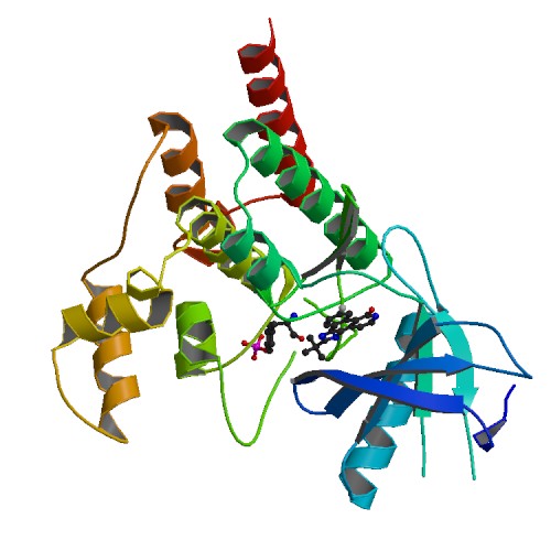 File:PBB Protein JAK2 image.jpg