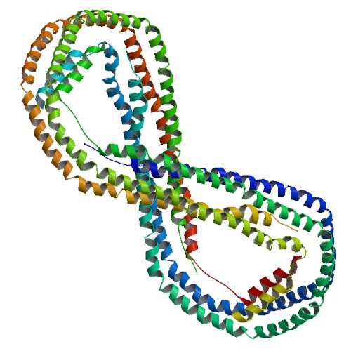 File:PBB Protein APOA1 image.jpg