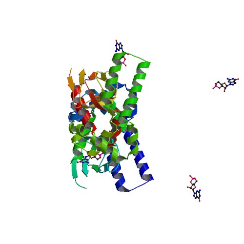 File:PBB Protein HCN1 image.jpg