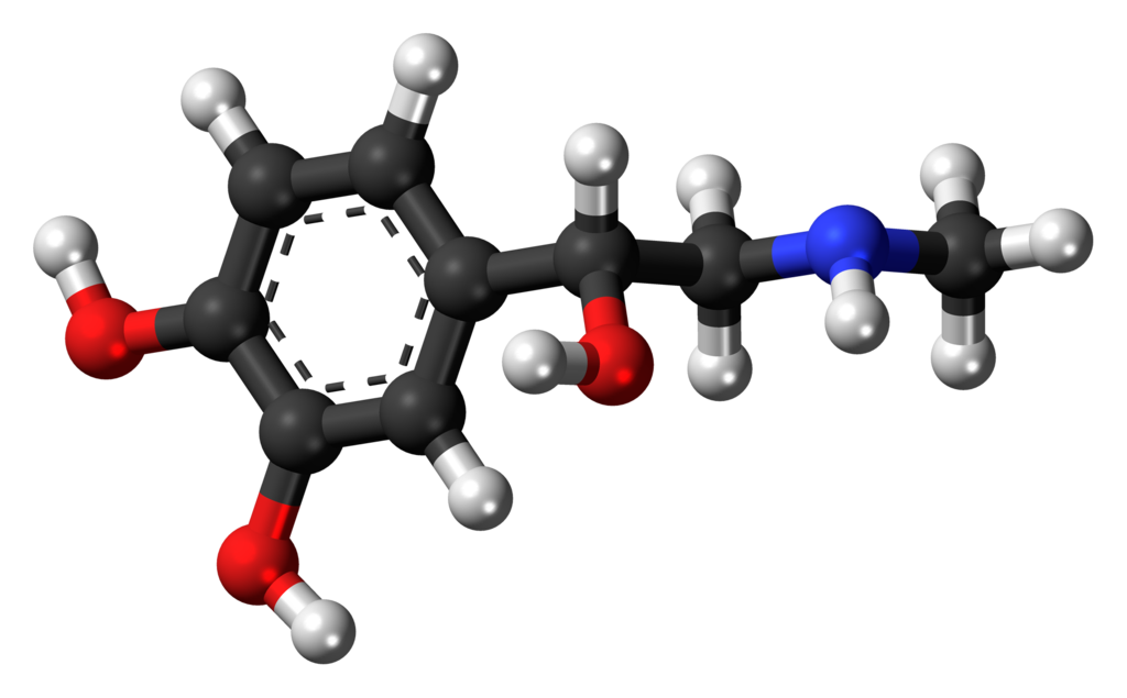Ball-and-stick model of the adrenaline molecule