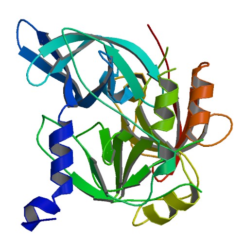 File:PBB Protein HTRA2 image.jpg