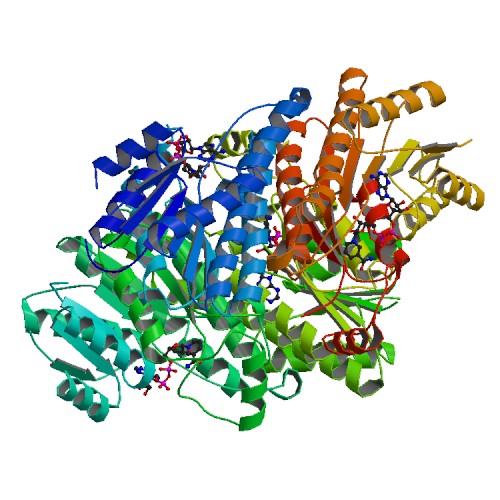 File:PBB Protein HSD17B8 image.jpg