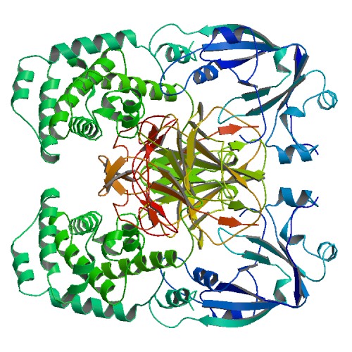 File:PBB Protein HBEGF image.jpg