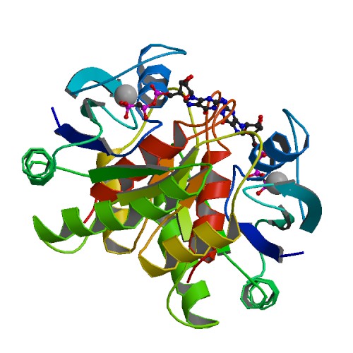 File:PBB Protein HRAS image.jpg