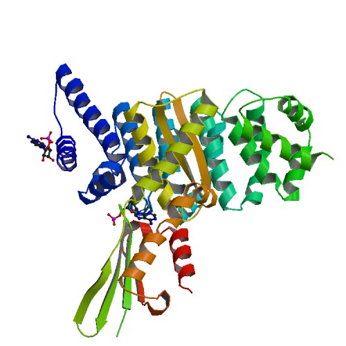 File:PBB Protein HSPA6 image.jpg