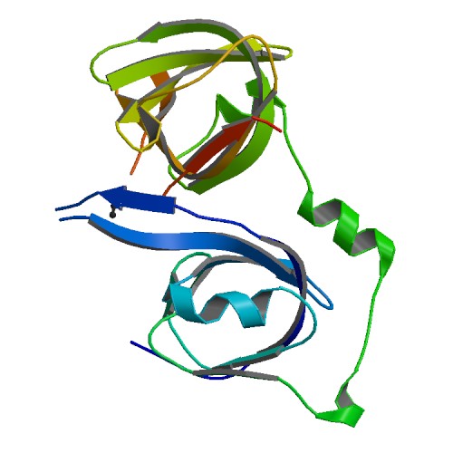 File:PBB Protein IFI16 image.jpg