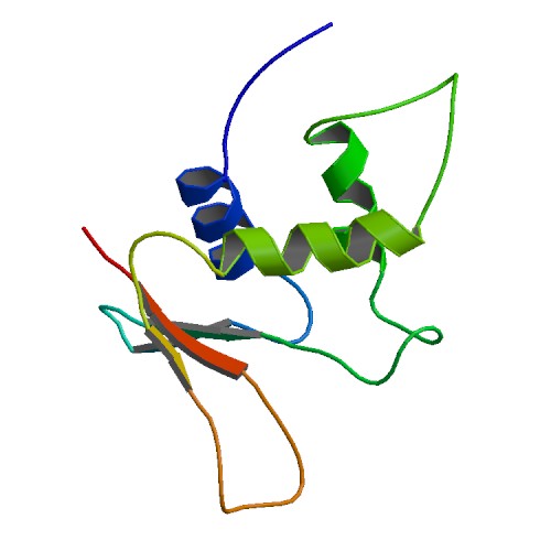 File:PBB Protein IRF2 image.jpg