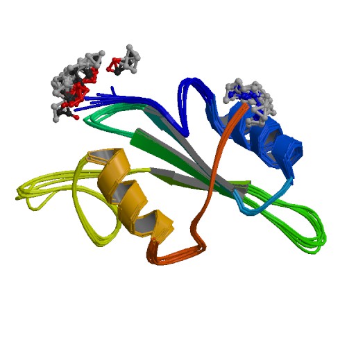 File:PBB Protein ITK image.jpg