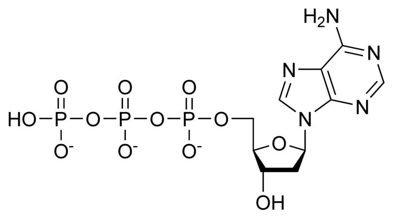 Chemical structure of deoxyadenosine triphosphate