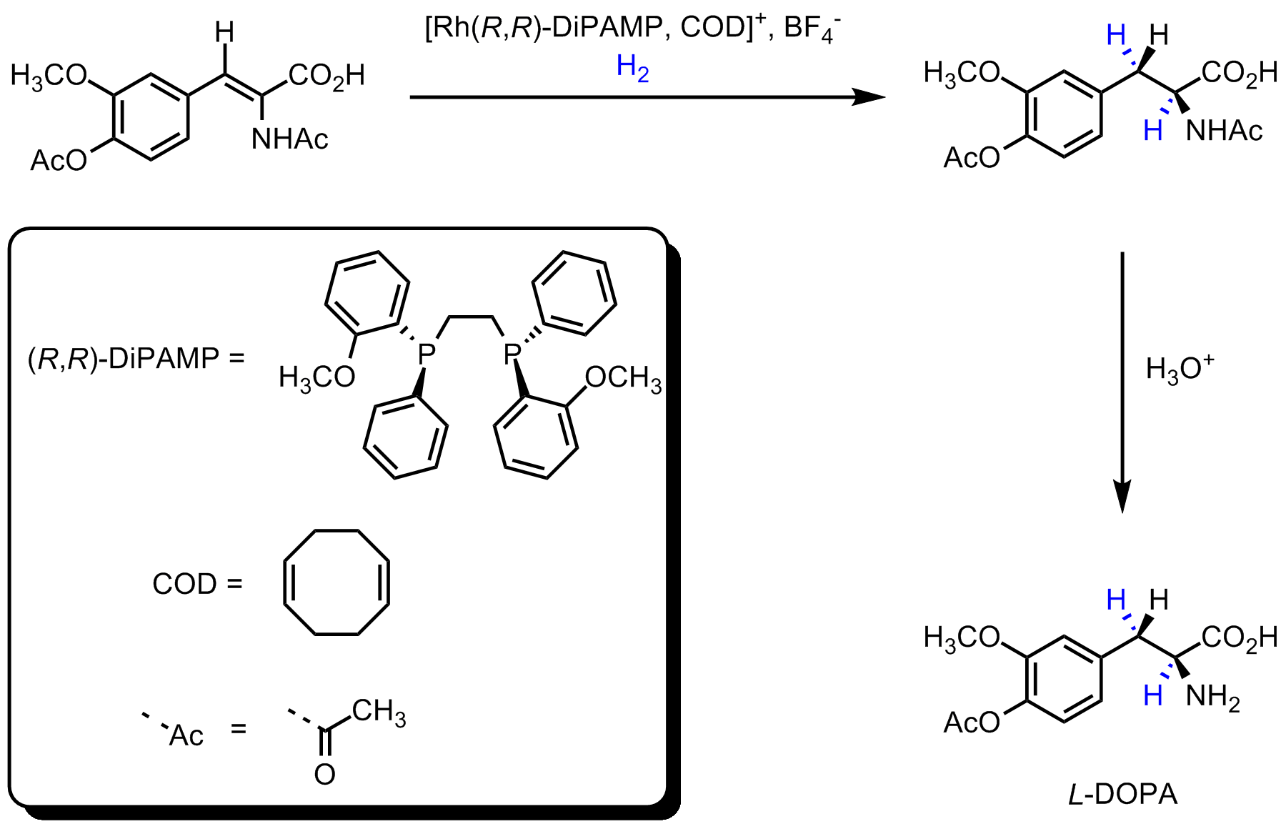 Asymmetric L-DOPA synthesis