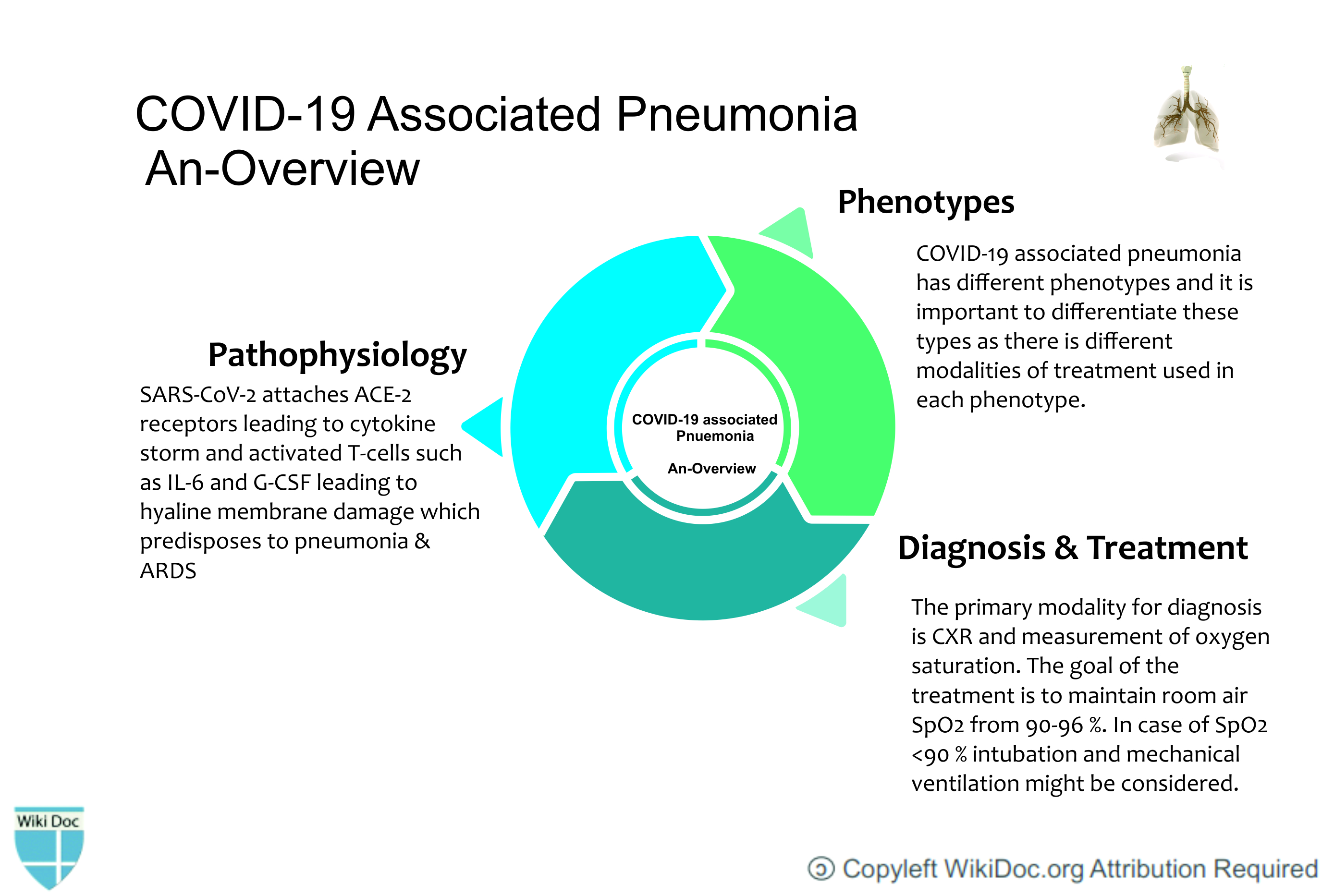 Overview-pneumonia.jpg