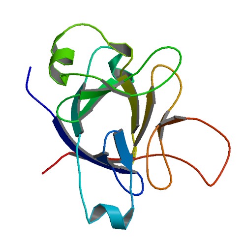 PBB Protein IL1F5 image.jpg