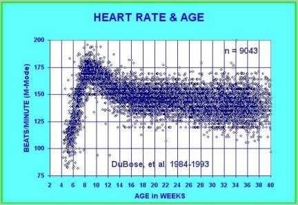 At 21 days after conception, the human heart begins beating at 70 to 80 beats per minute and accelerates linearly for the first month of beating.