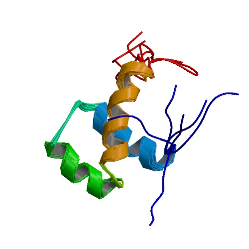 File:PBB Protein ISL1 image.jpg