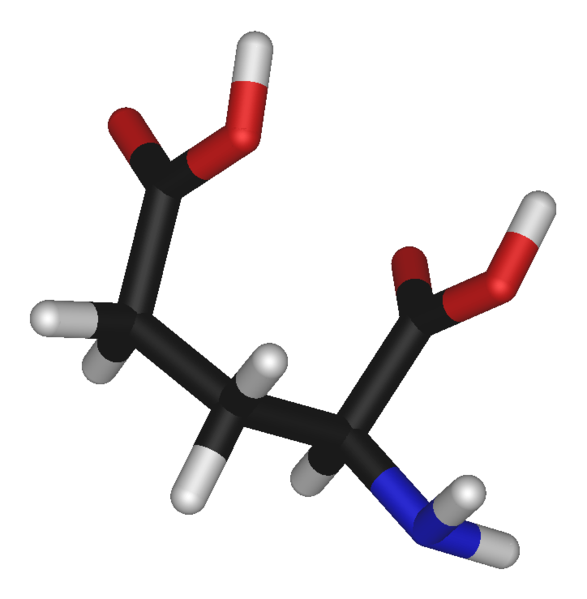 A representation of the structure of L-glutamic acid