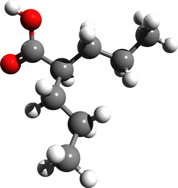 File:Valproic acid 3d structure.jpg
