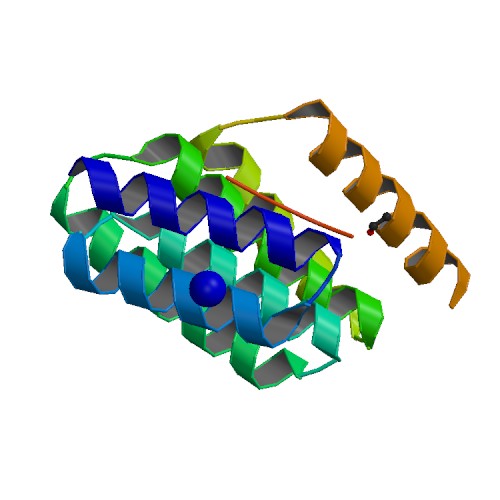 File:PBB Protein STIP1 image.jpg