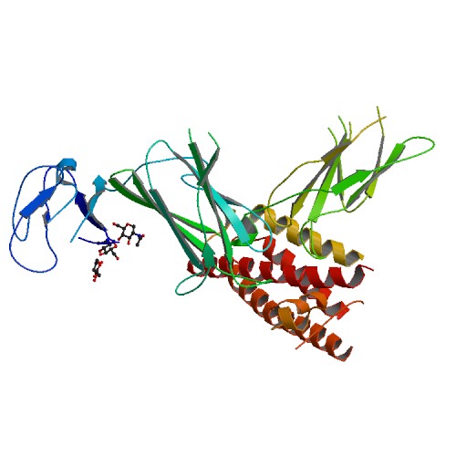 File:PBB Protein IL12A image.jpg