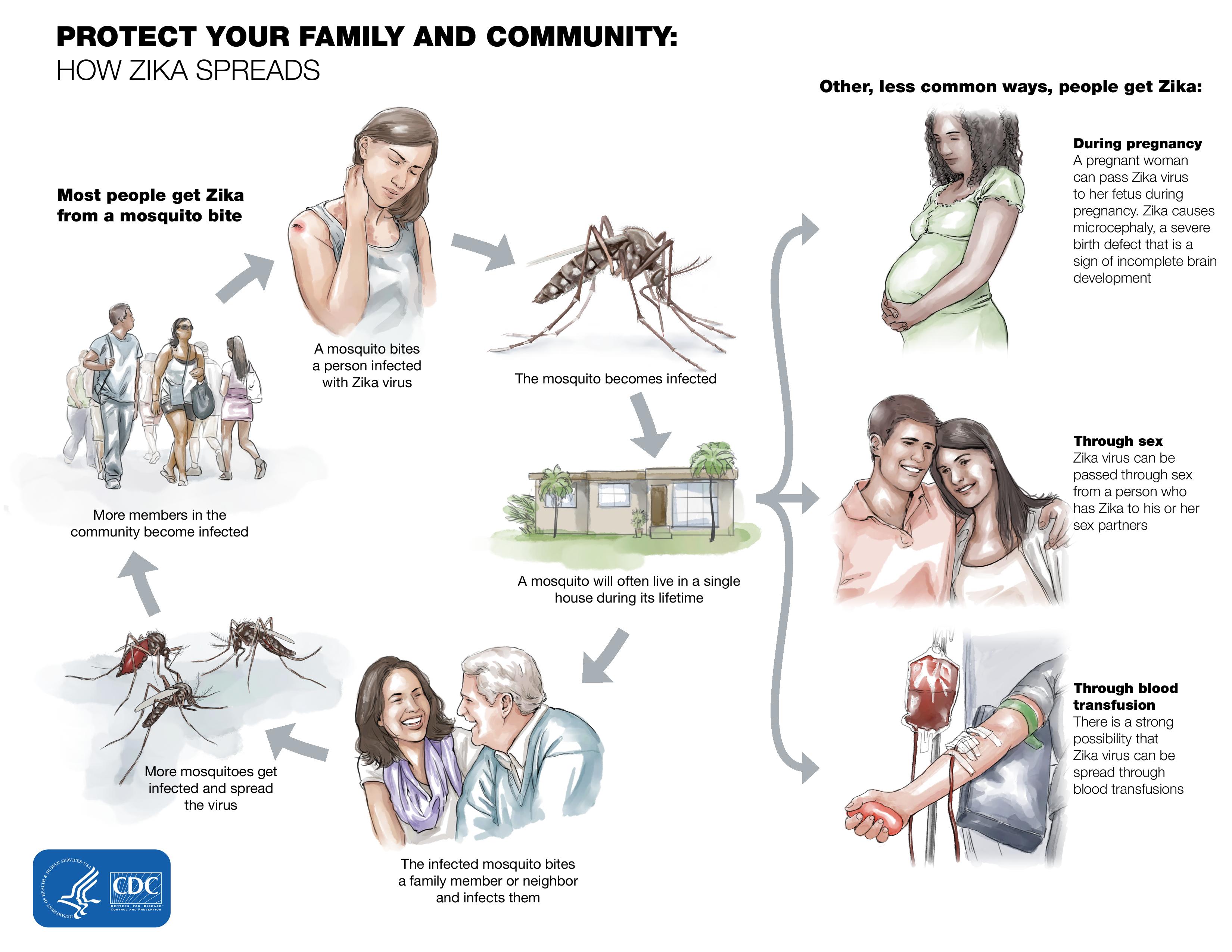File:Zika-transmission-page-001.jpg