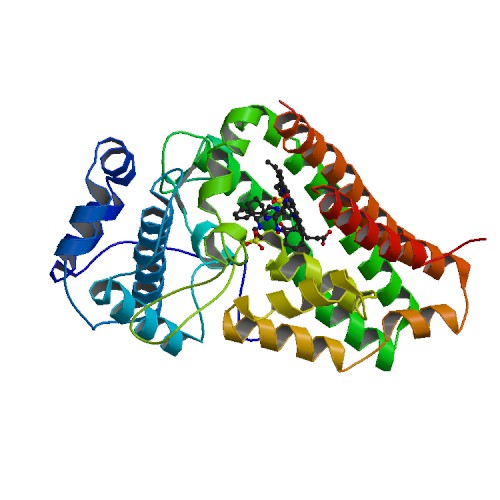 File:PBB Protein INDO image.jpg