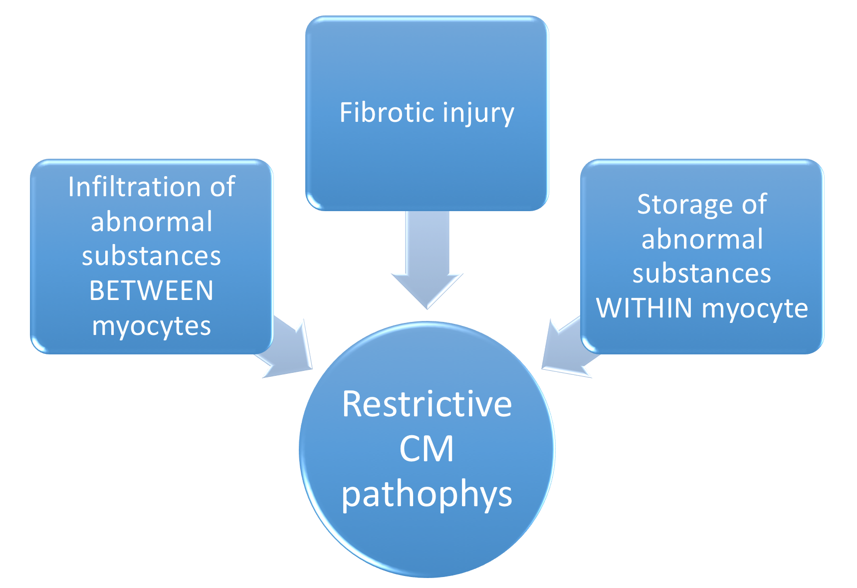 Figure 12. The three main mechanisms responsible for the Restrictive CM phenotype.