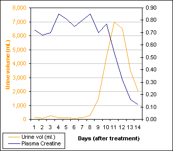 An example of the pattern of urine flow and plasma creatinine levels following acute tubular necrosis