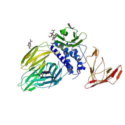 File:PBB Protein IL2RB image.jpg