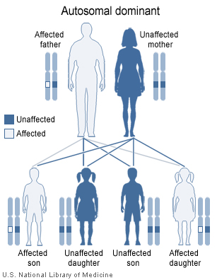thumb von Willebrand disease types I and II are inherited in an autosomal dominant pattern.