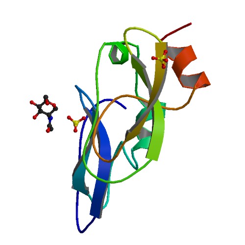 File:PBB Protein AMBP image.jpg
