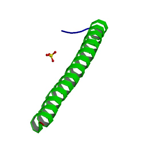 PBB Protein APC image.jpg