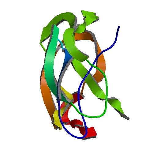 File:PBB Protein APP image.jpg